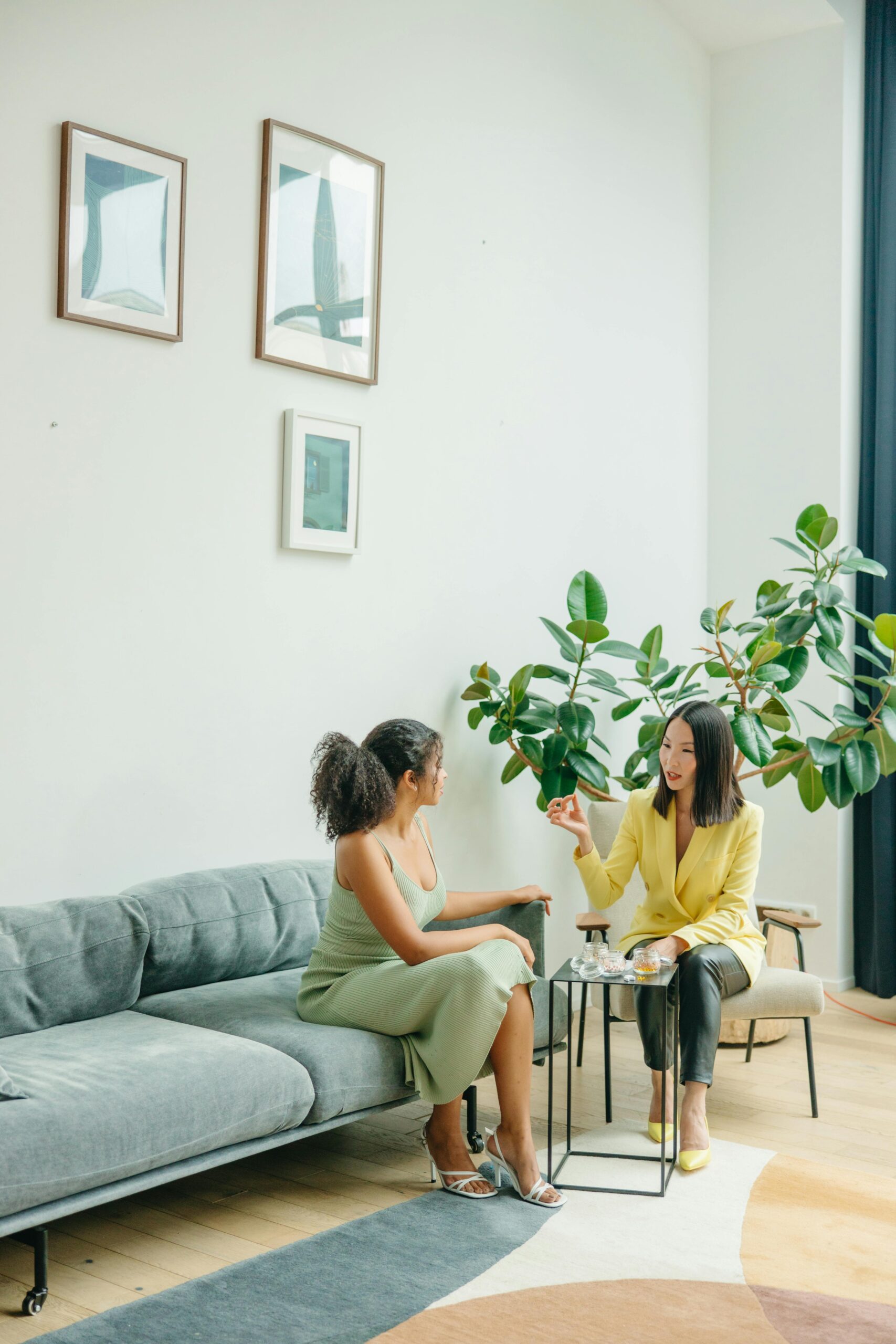 Two women discussing healthy lifestyles during consultation in a stylish living room.